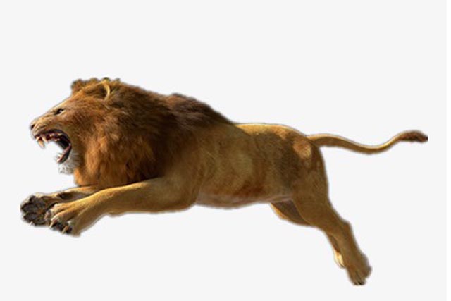 lion 【シマウマを追うライオンになるな！】
